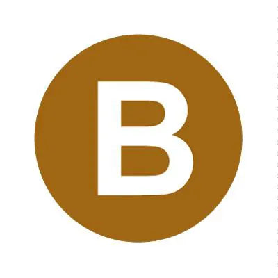 PH10-74-002: B Brown Button with White Letters