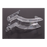 620518535: Lower Ice Chute