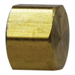 Brass Compression Hex Cap