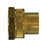 Brass Straight Rigid Adapter in FGH X FIP