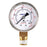 39-0100-60 :Low Pressure Gauge (0-60 PSI | Right)