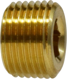 28092- 1/16 Hex Socket Pipe Plug