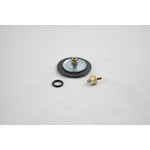 7740-19-SP: Regulator Repair Kit for 2" Diaphragm, N2 Regulators, with Diaphragm, Capsule, and O-Ring Tank Seal